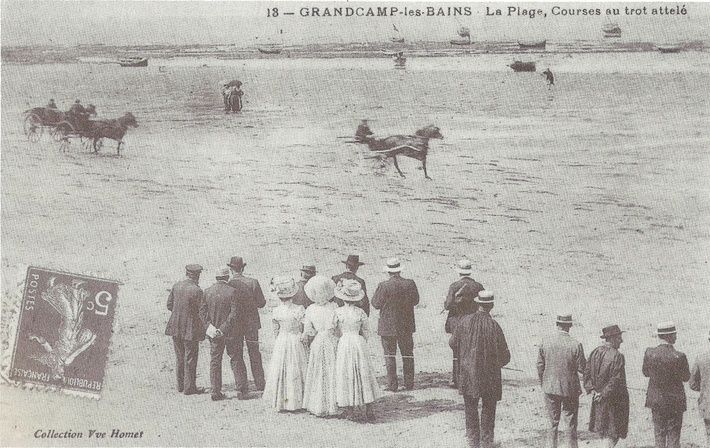 Tout savoir sur le trotteur français : histoire, caractéristiques et conseils