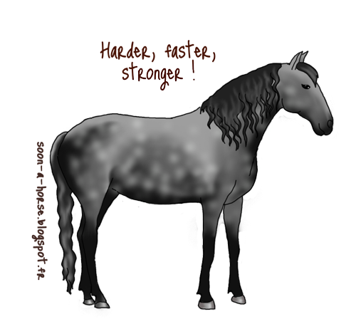 Quel est l&rsquo;histoire et les caractéristiques du lusitanien ?