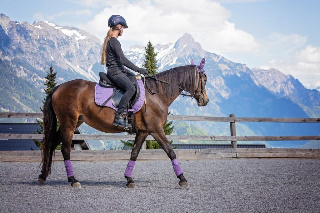 Tout savoir sur le Welsh Pony and Cob : aptitudes, galops et disciplines
