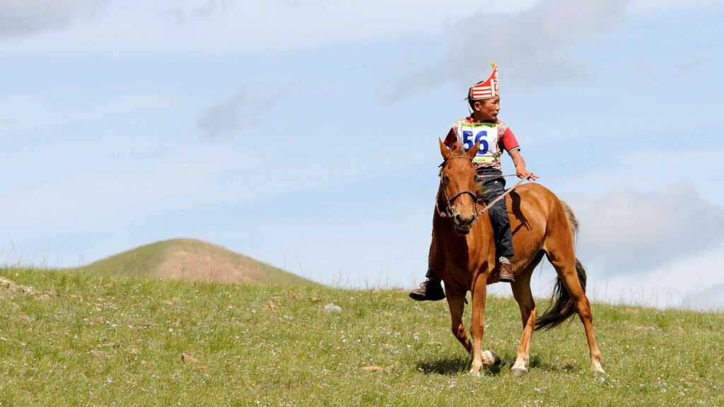 Équitation : Le concours Harcour bat des records au Pôle européen du Cheval