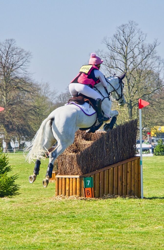 Équitation : Jump’Est, quand les organisateurs font du site un véritable chef-d&rsquo;œuvre équestre