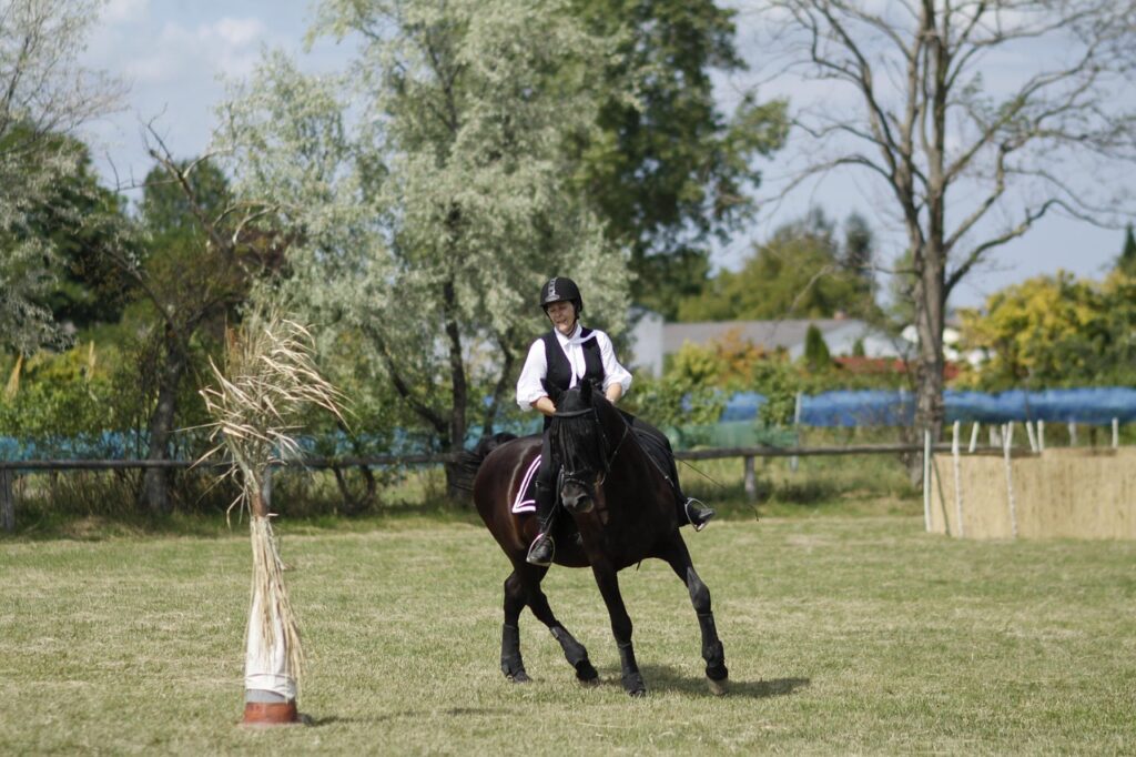 Équitation : Astier Nicolas excelle et mène le dressage du Grand National de concours complet au Lion-d’Angers