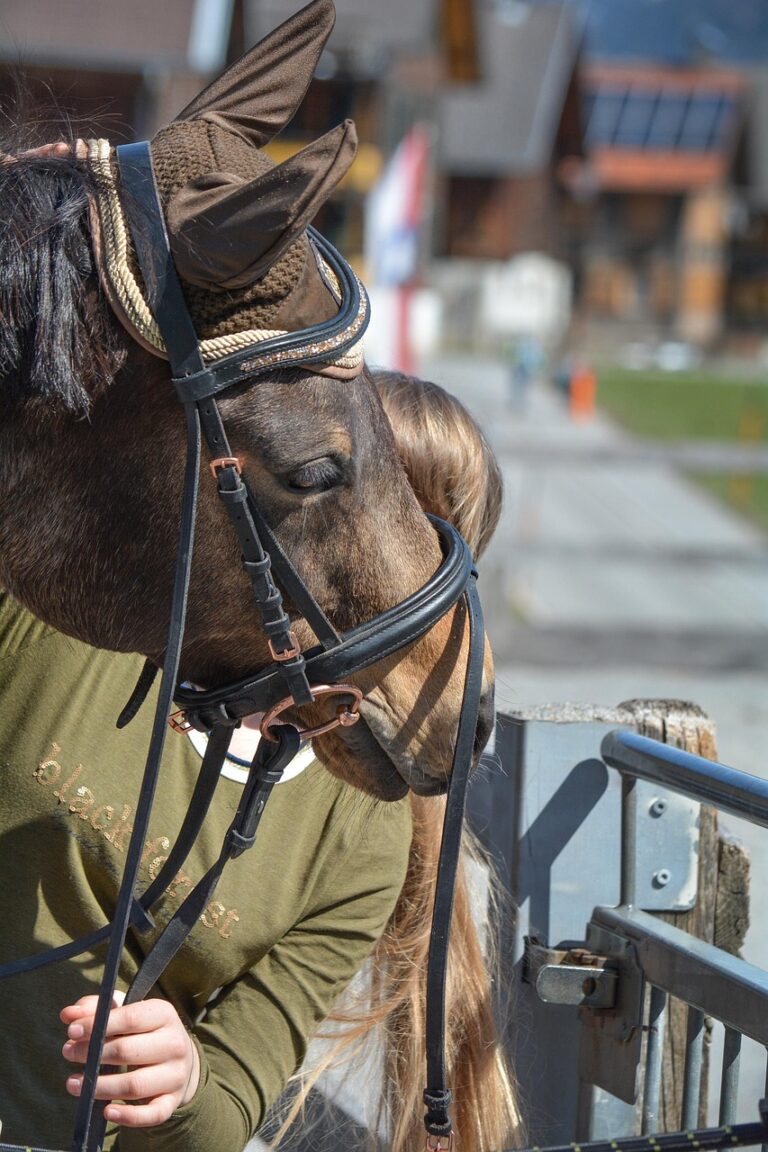 Perfectionnez votre équitation : Stage intensif de dressage et saut avec Thibaut Valette à Agnat