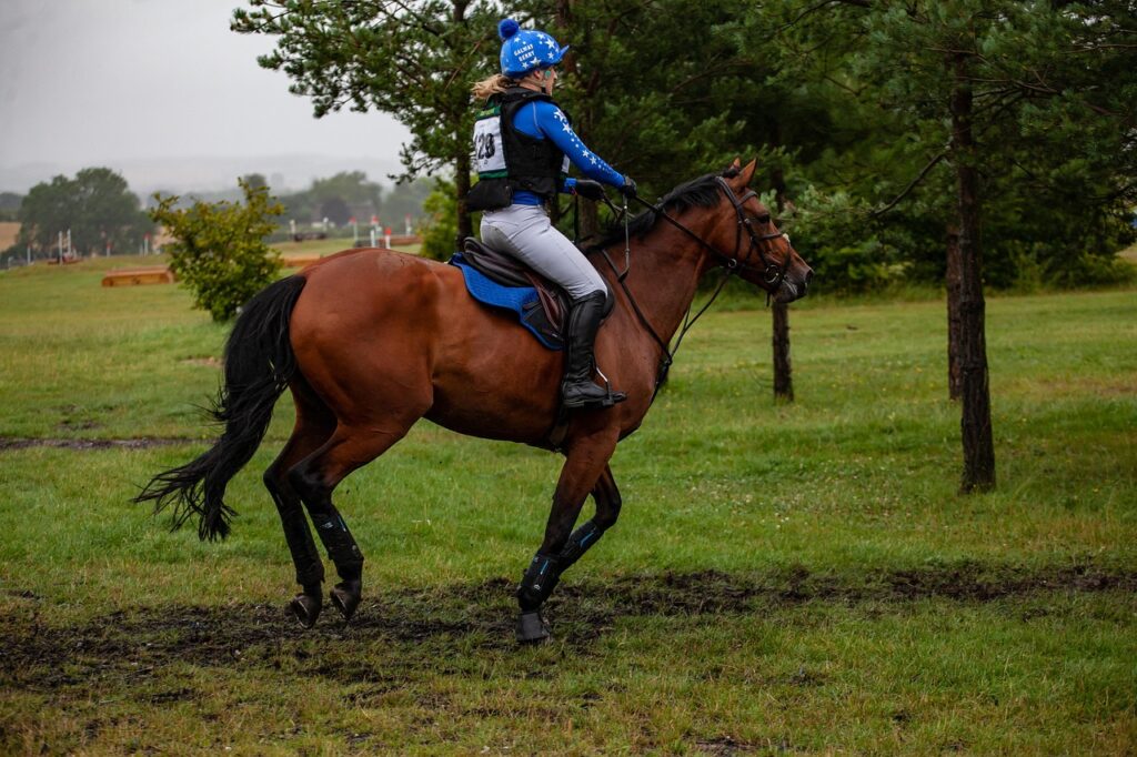 Équitation en Vendée : un concours complet record qui promet une ambiance exceptionnelle