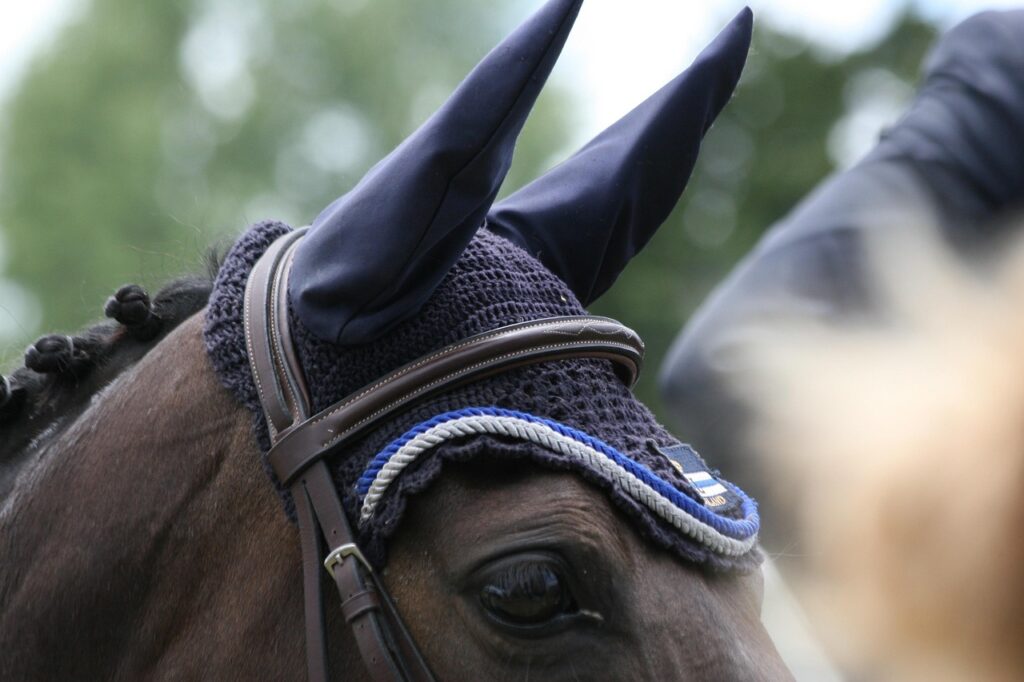 Équitation à La Baule : le jumping intense du 11 au 14 juin, prélude aux grands championnats