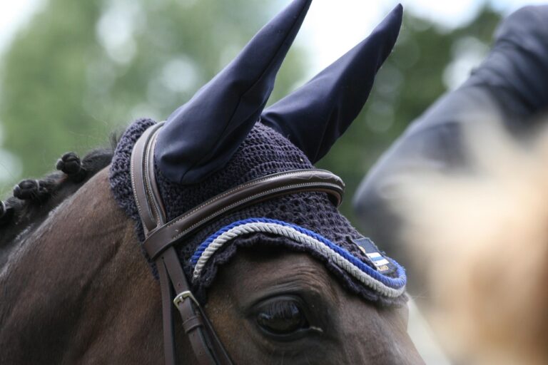 Équitation à La Baule : le jumping intense du 11 au 14 juin, prélude aux grands championnats