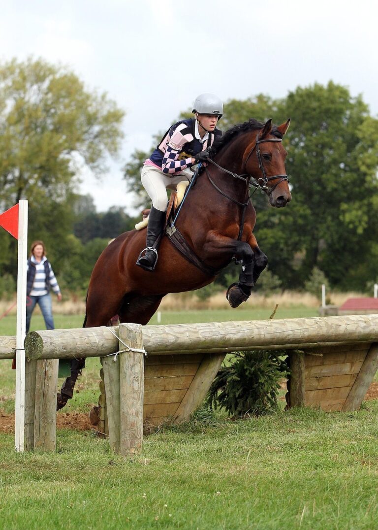 Équitation à Hennebont : quand la chaleur met aussi les chevaux à l’épreuve lors du jumping !