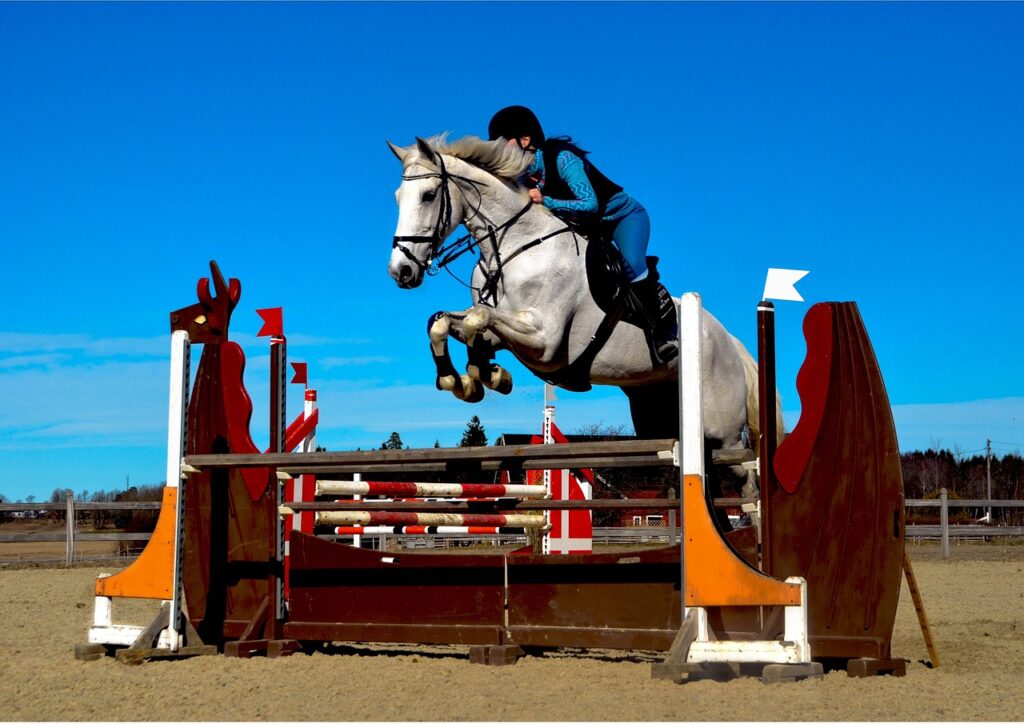 Équitation : Le Jumping de La Baule, un tremplin décisif avant les championnats du monde