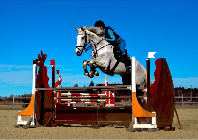 Équitation : Le Jumping de La Baule, un tremplin décisif avant les championnats du monde