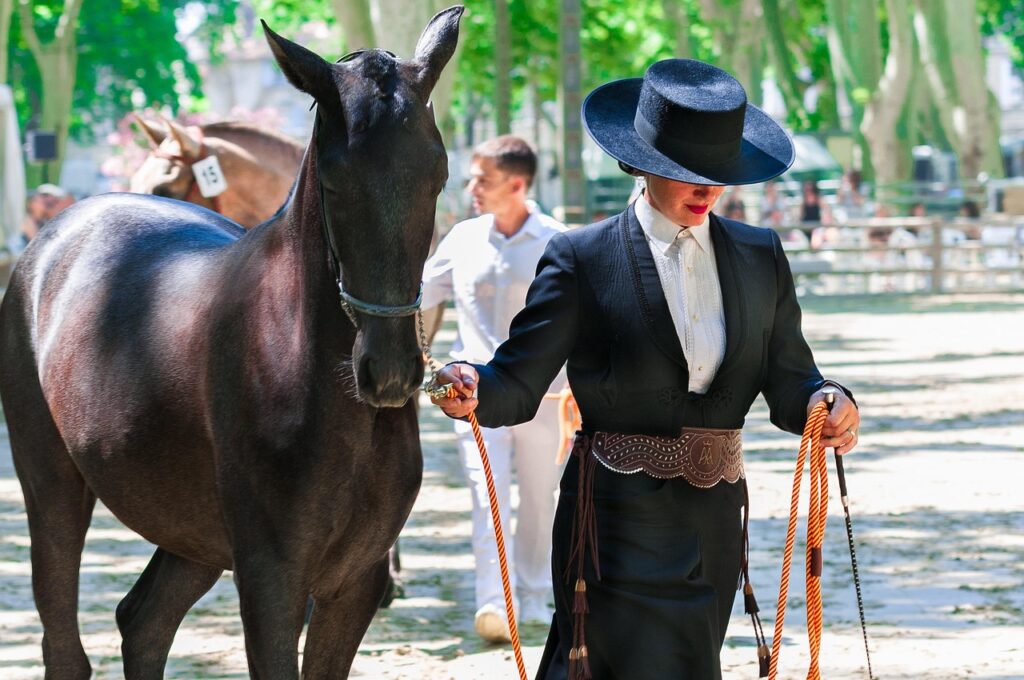 Chevaux musclés et agiles : le nouveau visage du concours d’équitation de travail mêlant vitesse et tri du bétail