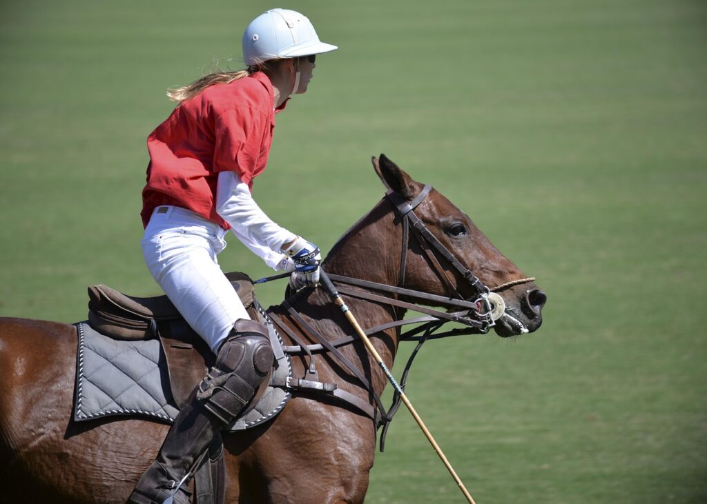 Le polo : un sport équestre fascinant ou une autre discipline ?