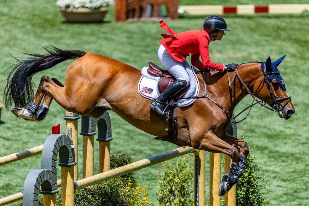 Équitation : Le Jumping de Dinard fait son grand retour avec une compétition d&rsquo;élite