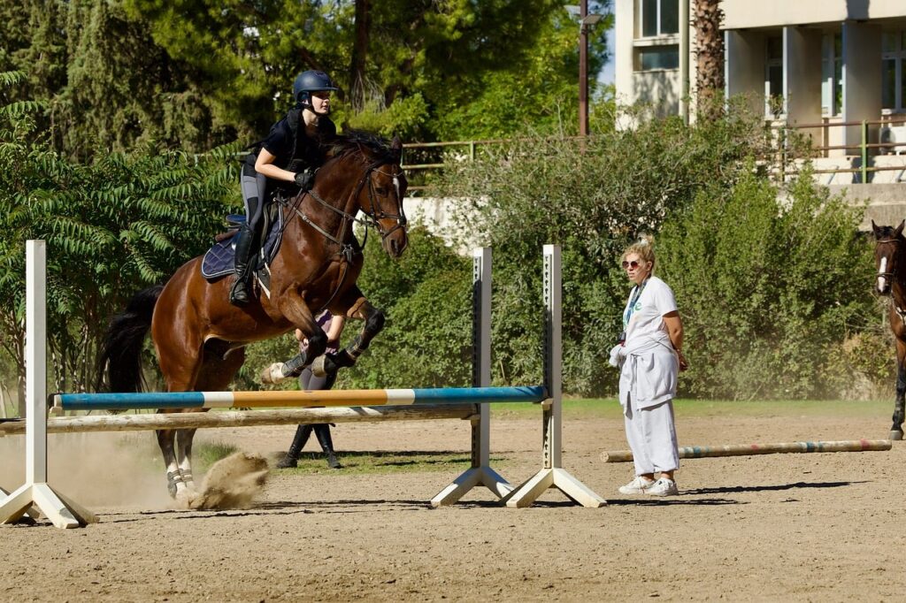 Équitation : Le Jumping de Saint-Quay-Portrieux franchit un cap exceptionnel