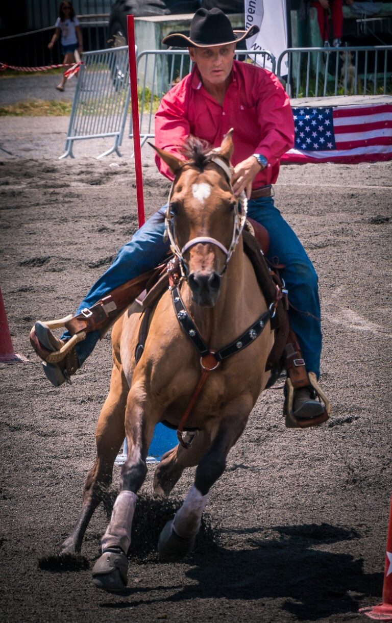 Passionnée d’équitation western de travail, elle lance sa propre école dans les ranchs