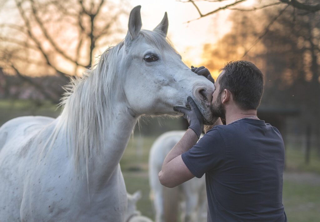 Équitation – Championnats du monde : Olivier Perreau ambitionne de participer à son dernier grand championnat manqué