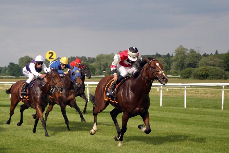 Galop passé lors d’un stage d’été : ce que le diplôme révèle vraiment… et ce qu’il omet de montrer sur le niveau