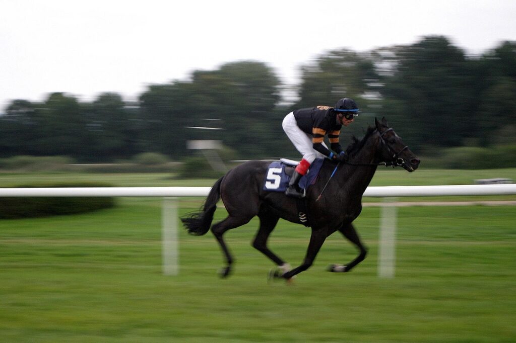 Guide incontournable pour réussir votre Galop 1 avec brio