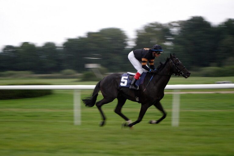 Guide incontournable pour réussir votre Galop 1 avec brio