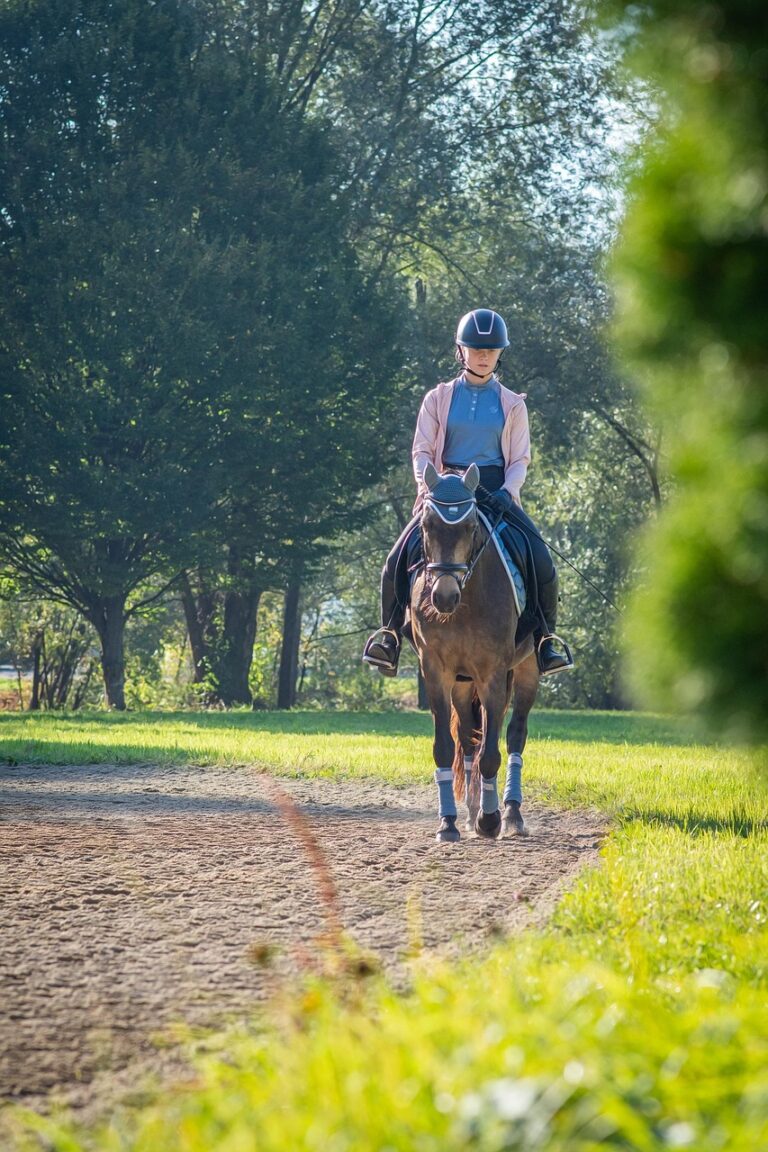 Équitation, découvertes guidées et moments en famille : nos suggestions de sorties incontournables à Saint cette semaine