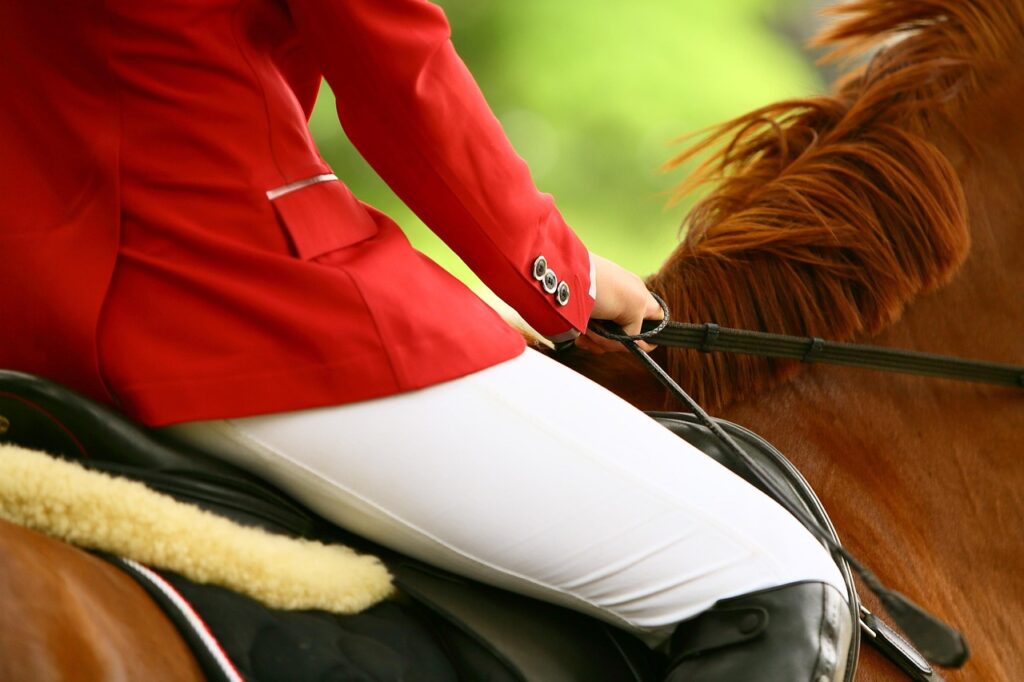 Le Jumping de Bordeaux 2025 : L&rsquo;excellence équestre au cœur de la Nouvelle-Aquitaine