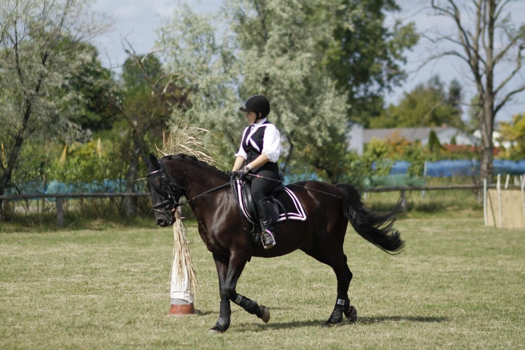 Équitation para-dressage aux Mondiaux : Brunet signe un départ encourageant, Vinchon retrouve confiance