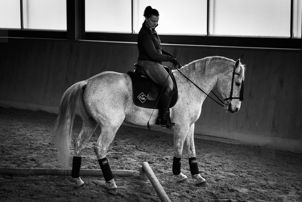 Championnats du Monde d&rsquo;Équitation : La Belgique S&rsquo;illustre avec une 10e Place en Para-Dressage