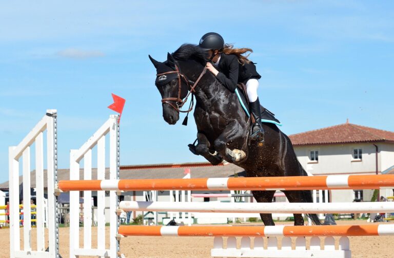 Équitation : découvrez pourquoi le saut d’obstacles n’est pas la discipline la plus risquée