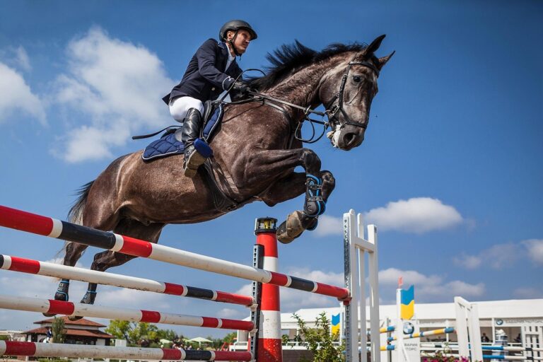 Équitation : François-Xavier Boudant triomphe et prend sa revanche dans le Grand Prix CSI 3* de Saint-Lô