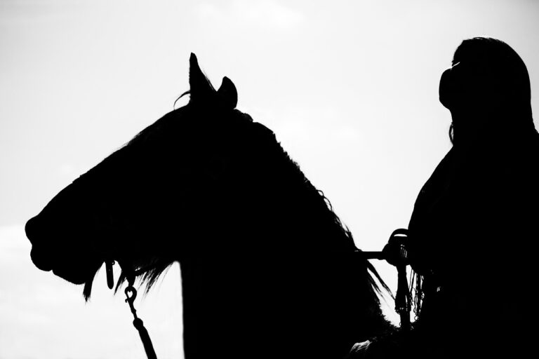 Suivez en direct le Jumping de Bordeaux : l&rsquo;élégance et la passion du cheval à l&rsquo;écran