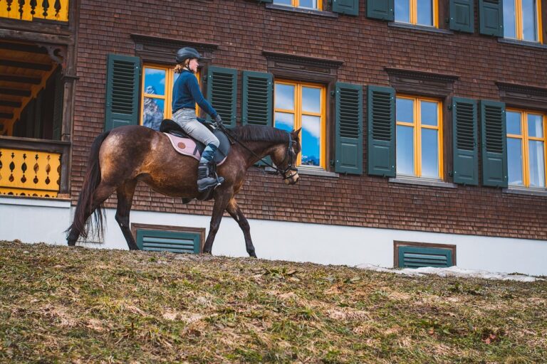 Exploration complète de l’équitation dans les Pyrénées-Orientales et ses environs