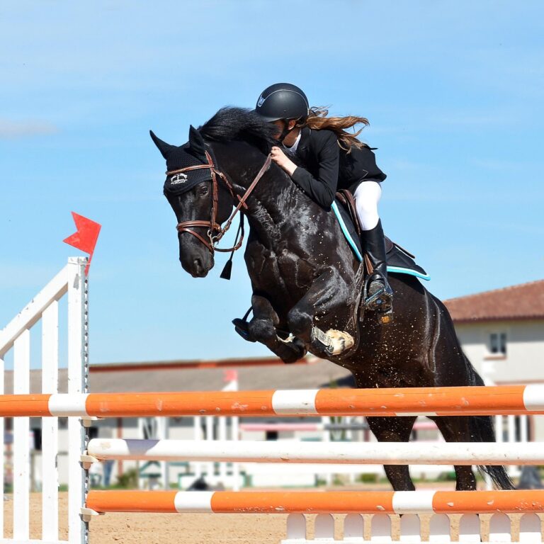 Équitation : Margot Portal et Graffiti d’Auville, du club de Milhaud à l’élite de l’équipe de France de saut d’obstacles