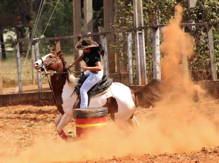 L&rsquo;art de l&rsquo;équitation de travail : maîtrise et harmonie au service du cheval