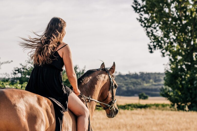 À deux pas de Rennes, Fénicat invite petits et grands à découvrir l’équitation au grand air dès 3 ans