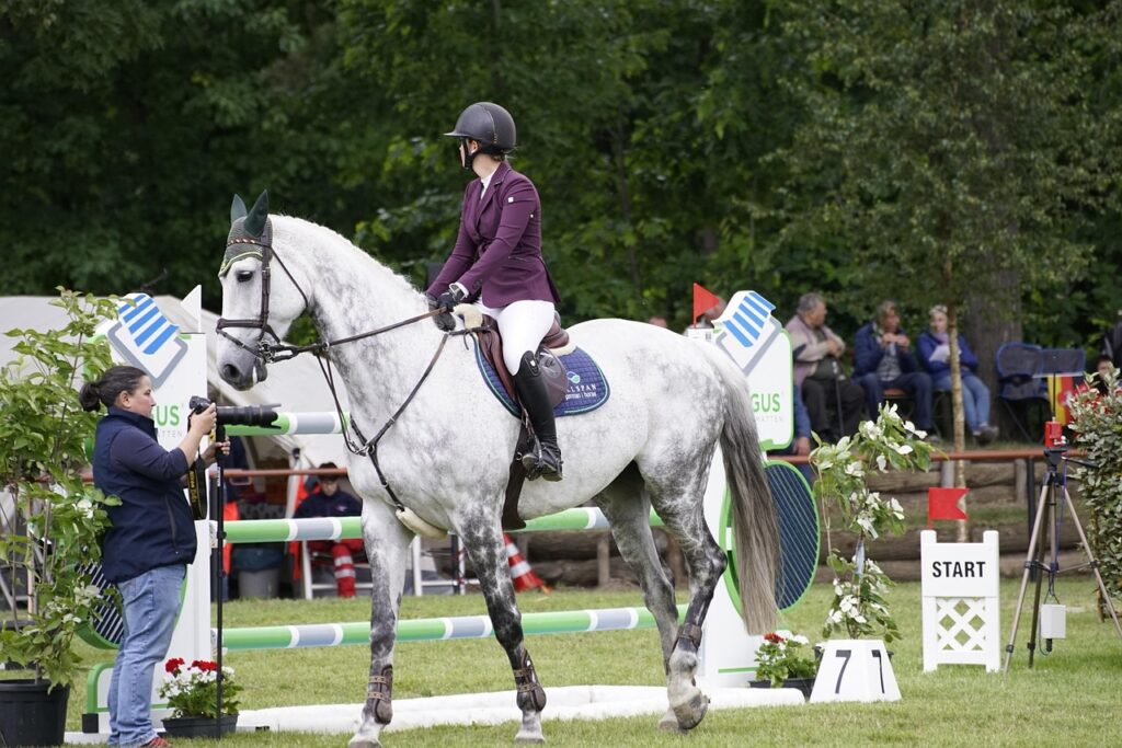 L’élite mondiale des chevaux de retour à l’Accor Arena pour un rendez-vous spectaculaire